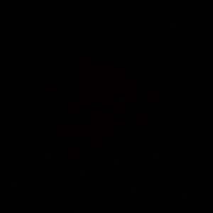 Meet your Posher, Mitzi